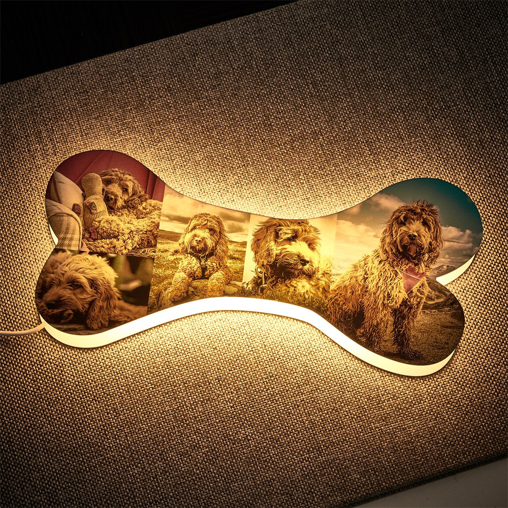 Pet Bone Photo Night Light