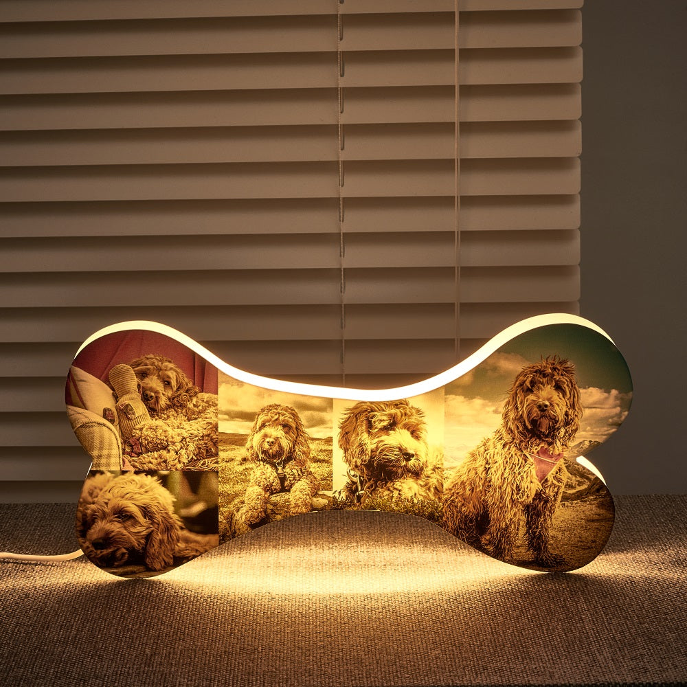 Pet Bone Photo Night Light