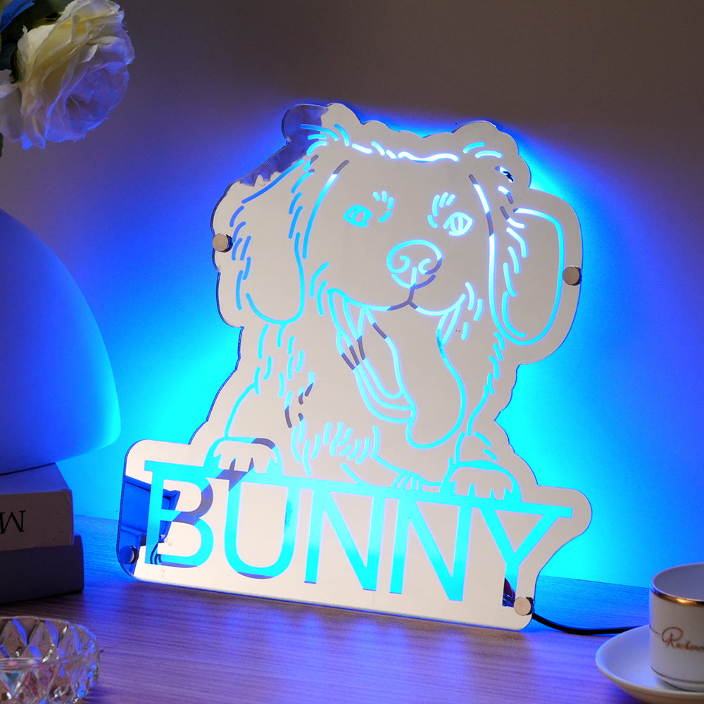 Pet Photo Mirror Light