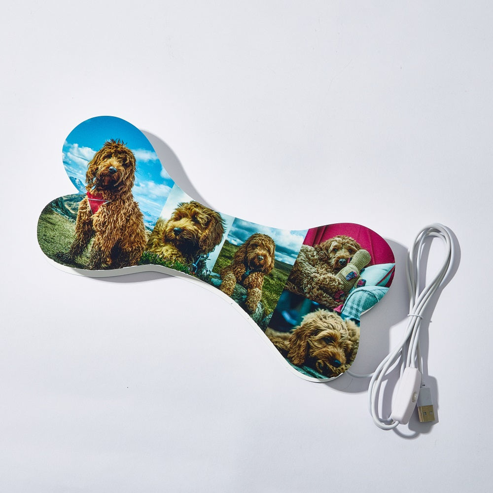 Pet Bone Photo Night Light