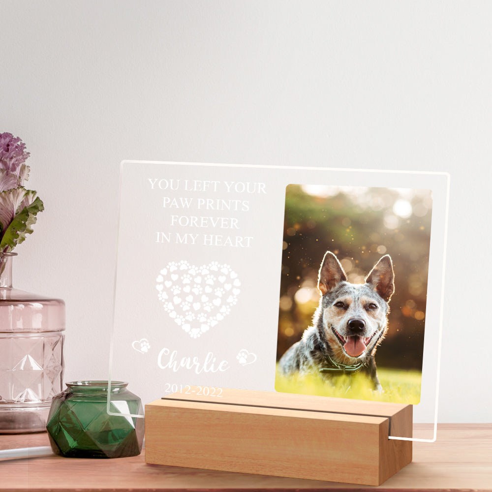 Pet Memorial Night Light