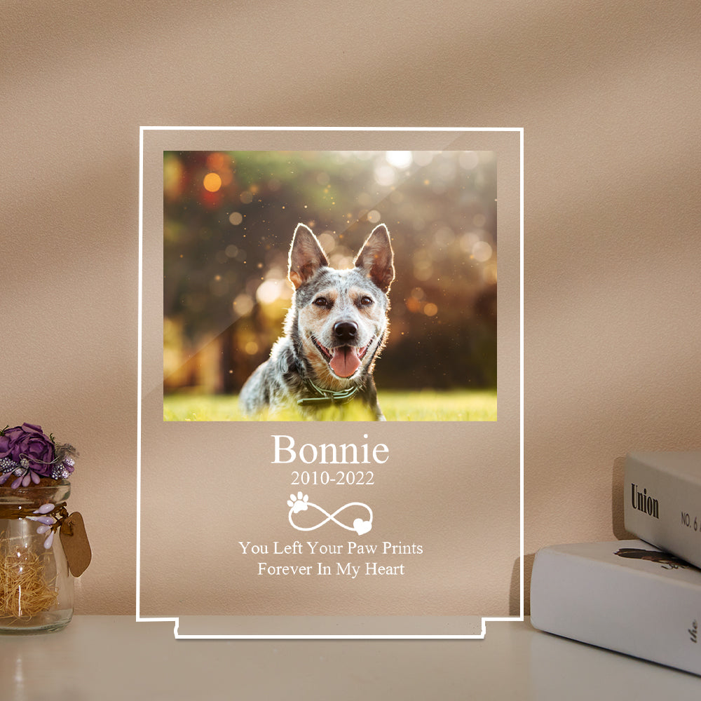 Pet Memorial Night Light