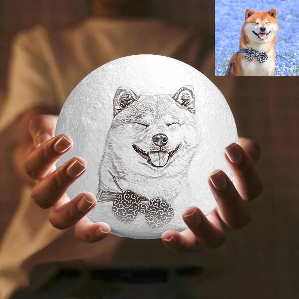 Pet Photo Moon Lamp