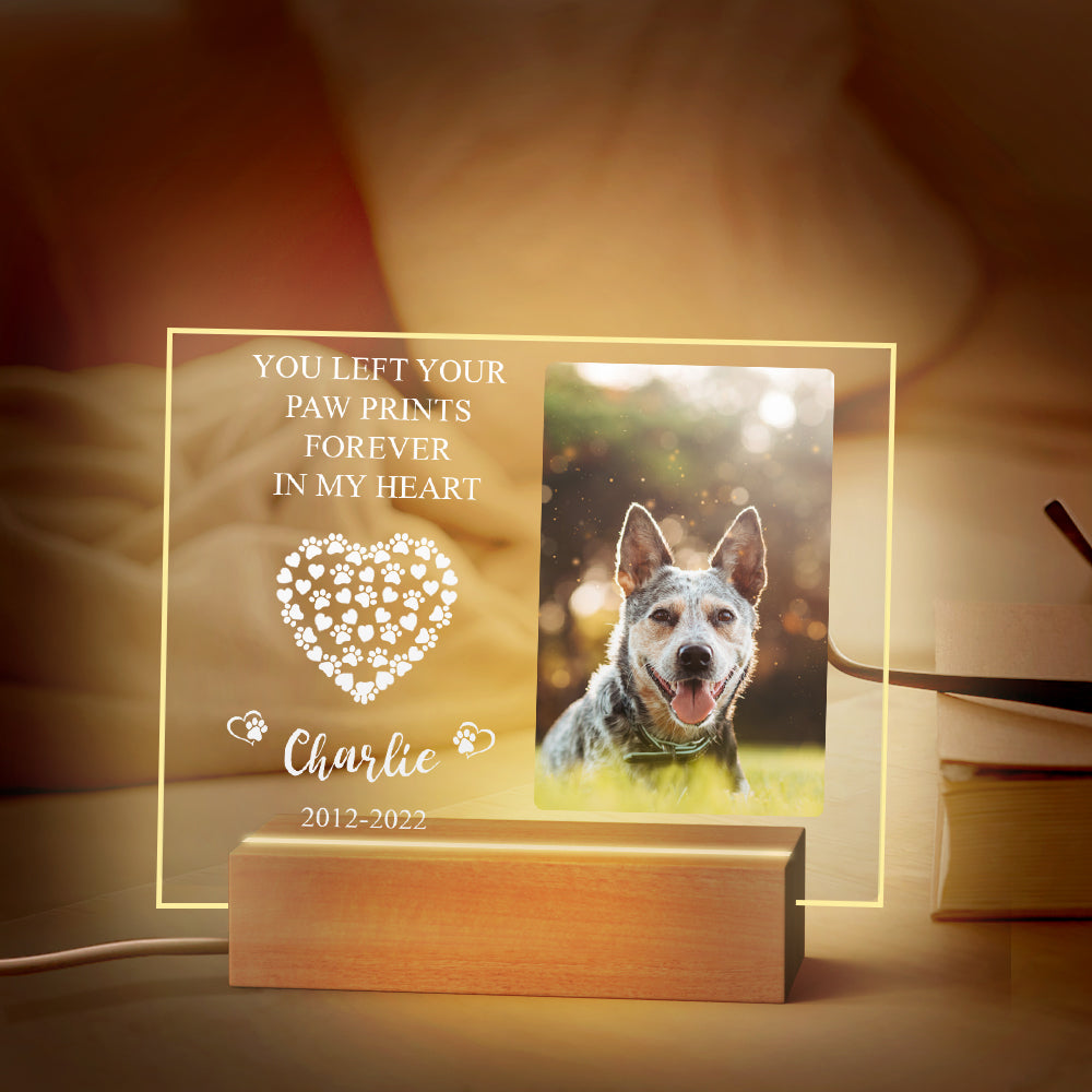 Pet Memorial Night Light