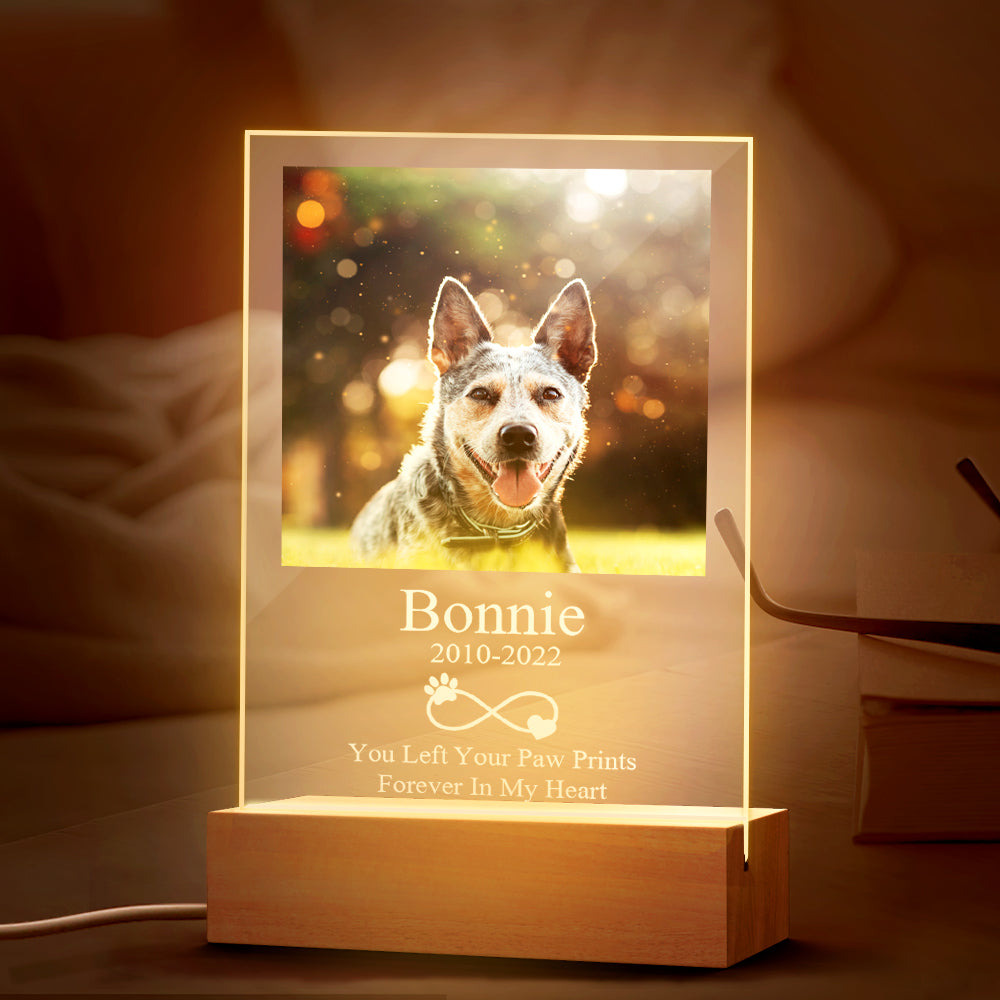 Pet Memorial Night Light