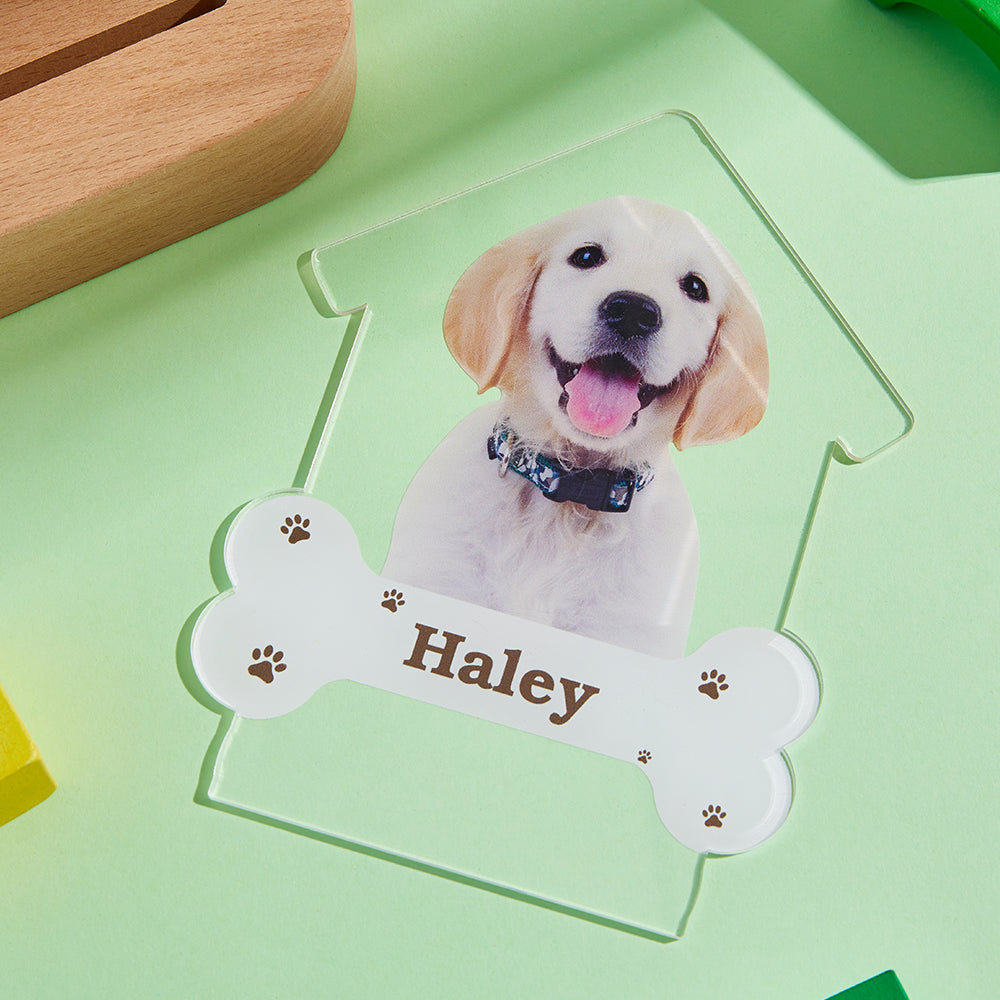 Engraved Puppy Night Light