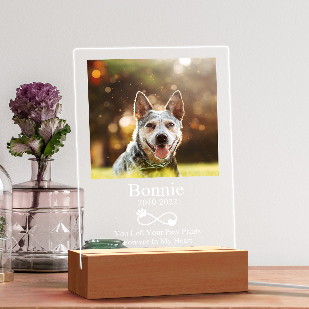 Pet Memorial Night Light