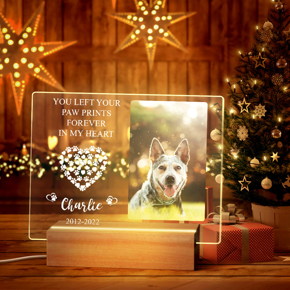Pet Memorial Night Light