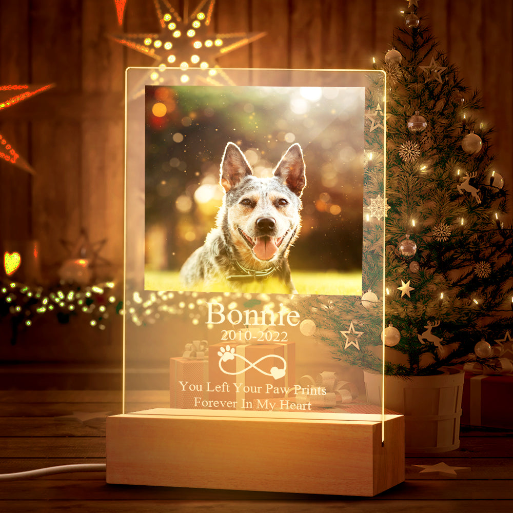 Pet Memorial Night Light