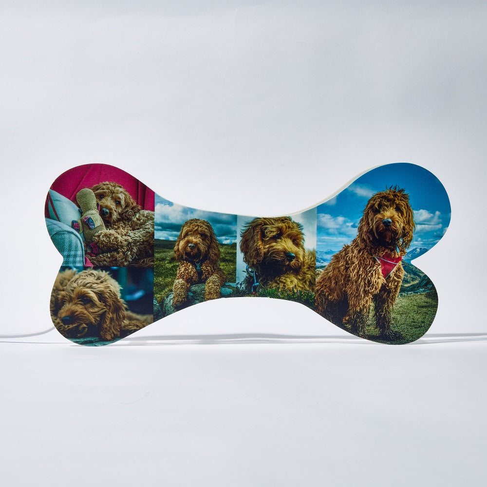 Pet Bone Photo Night Light